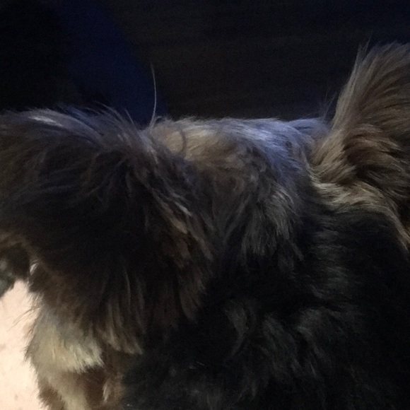 Meet your Posher, Karen - Picture 1 of 1